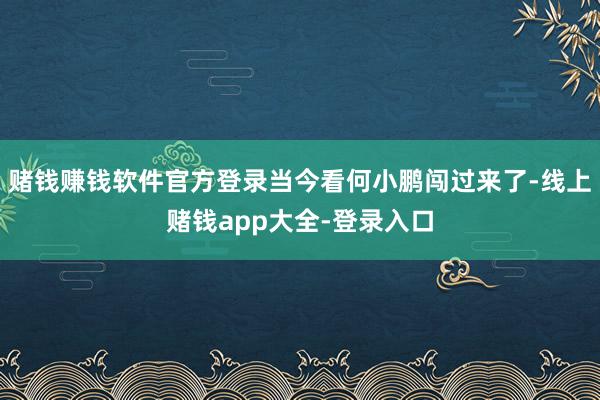 赌钱赚钱软件官方登录当今看何小鹏闯过来了-线上赌钱app大全-登录入口