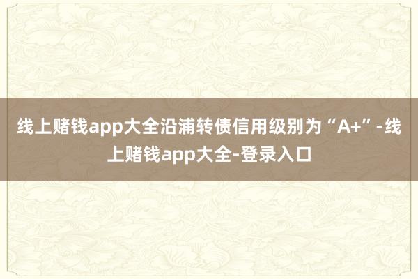 线上赌钱app大全沿浦转债信用级别为“A+”-线上赌钱app大全-登录入口