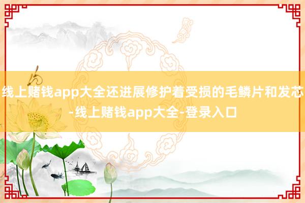 线上赌钱app大全还进展修护着受损的毛鳞片和发芯-线上赌钱app大全-登录入口