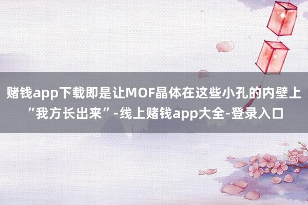 赌钱app下载即是让MOF晶体在这些小孔的内壁上“我方长出来”-线上赌钱app大全-登录入口